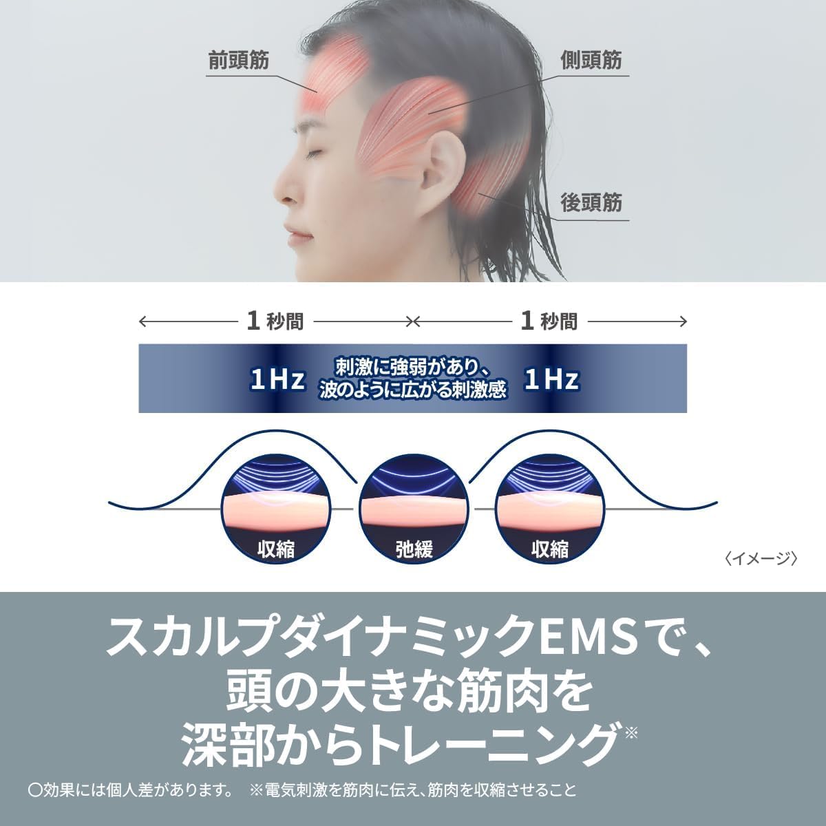파나소닉 바이탈리프트 EH-SP60-H 그레이지 EMS 전기 브러시 세트 이미지 3