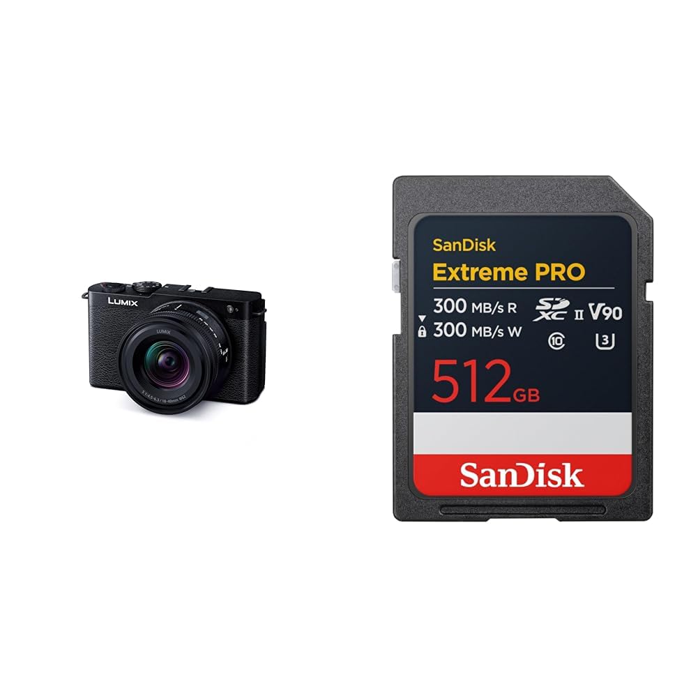 파나소닉 루믹스 DC-S9N-K 제트블랙 렌즈킷 512GB V90 이미지 1