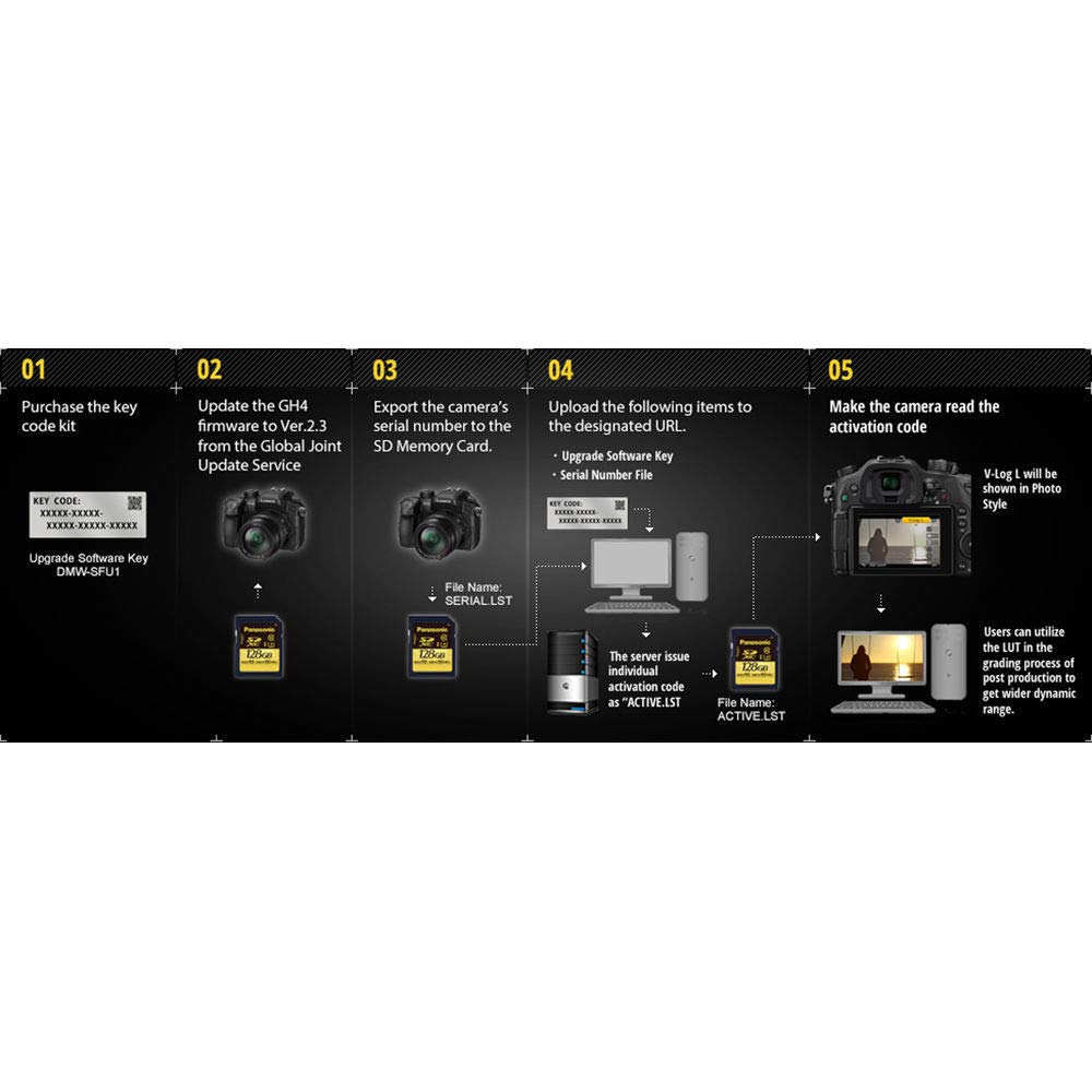 파나소닉 LUMIX GH4 전용 V-Log L 업그레이드 소프트웨어 DMW-SFU1 본체 1