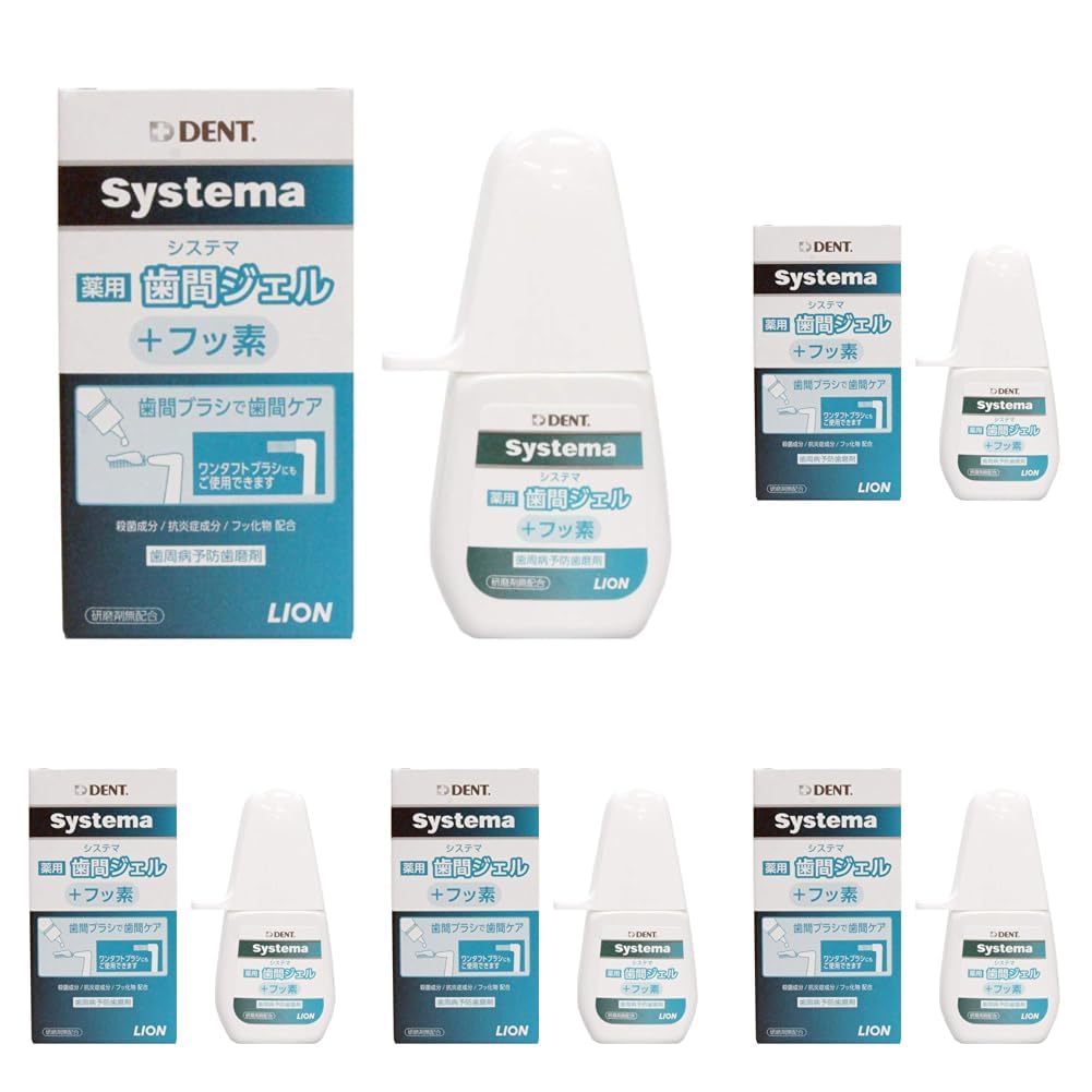 라이온 DENT.EX 시스테마 치간 젤 20ml 5입