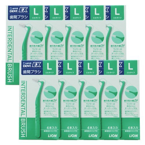 라이온 덴트 EX 치간칫솔 L 40개입