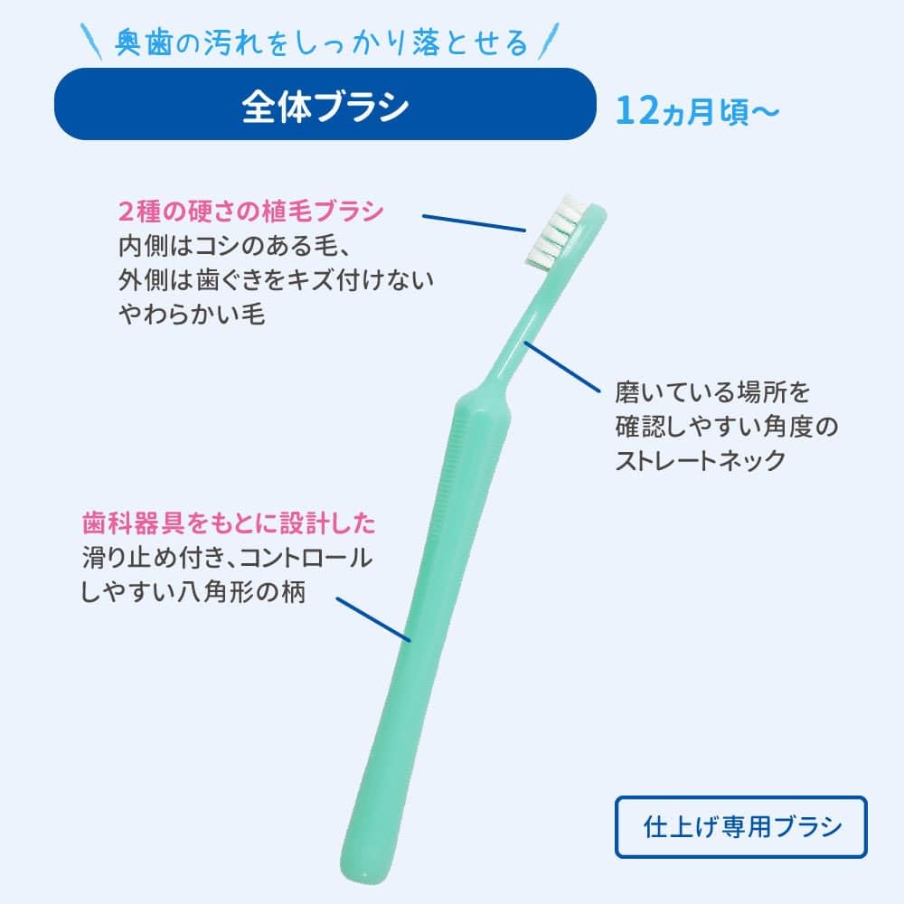 피죤 유치케어 마무리용 전체 칫솔 2개입 12개월 이상 이미지 7