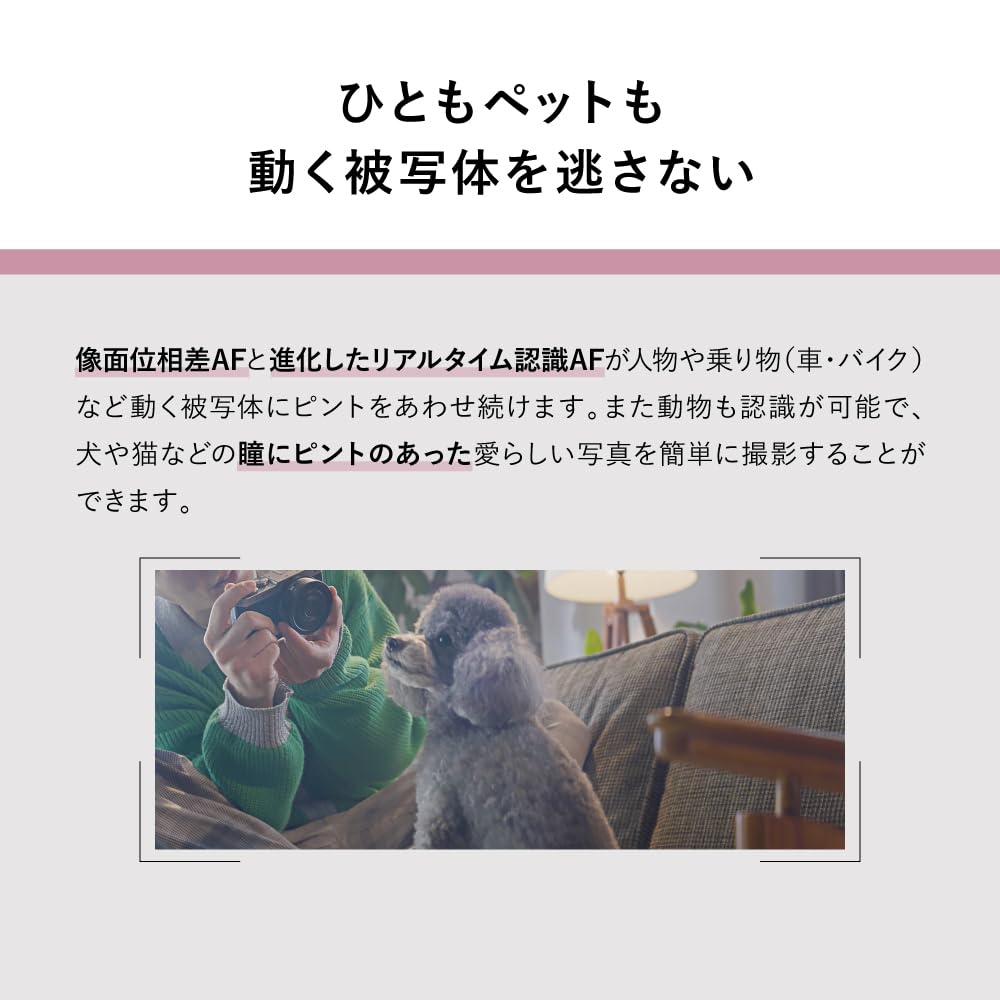 파나소닉 루믹스 S9H-S 다크실버 512GB 풀프레임 미러리스 카메라 고배율줌렌즈킷 이미지 7
