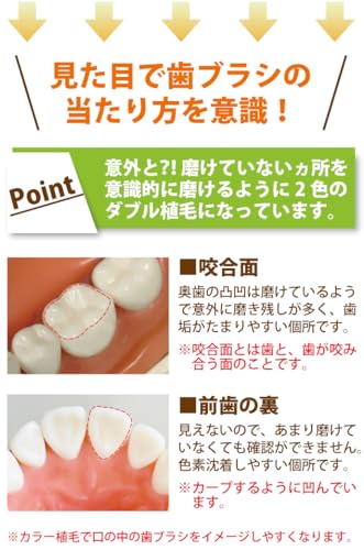 Ci메디컬 프로플러스 M 보통 5개입 칫솔 이미지 5