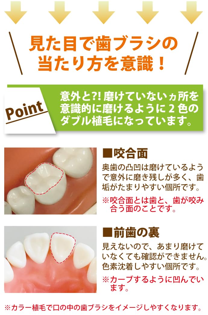 Ci메디컬 프로플러스 M 보통 5개입 칫솔