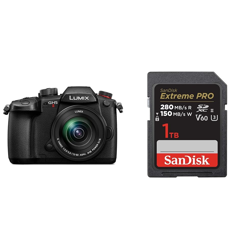 파나소닉 루믹스 DC-GH5M2M 블랙 표준줌킷 1TB
