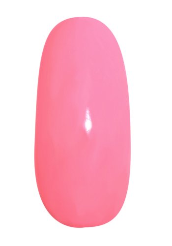 프리젤 컬러EX 로리팝츄츄 294 3g 젤네일 이미지 3