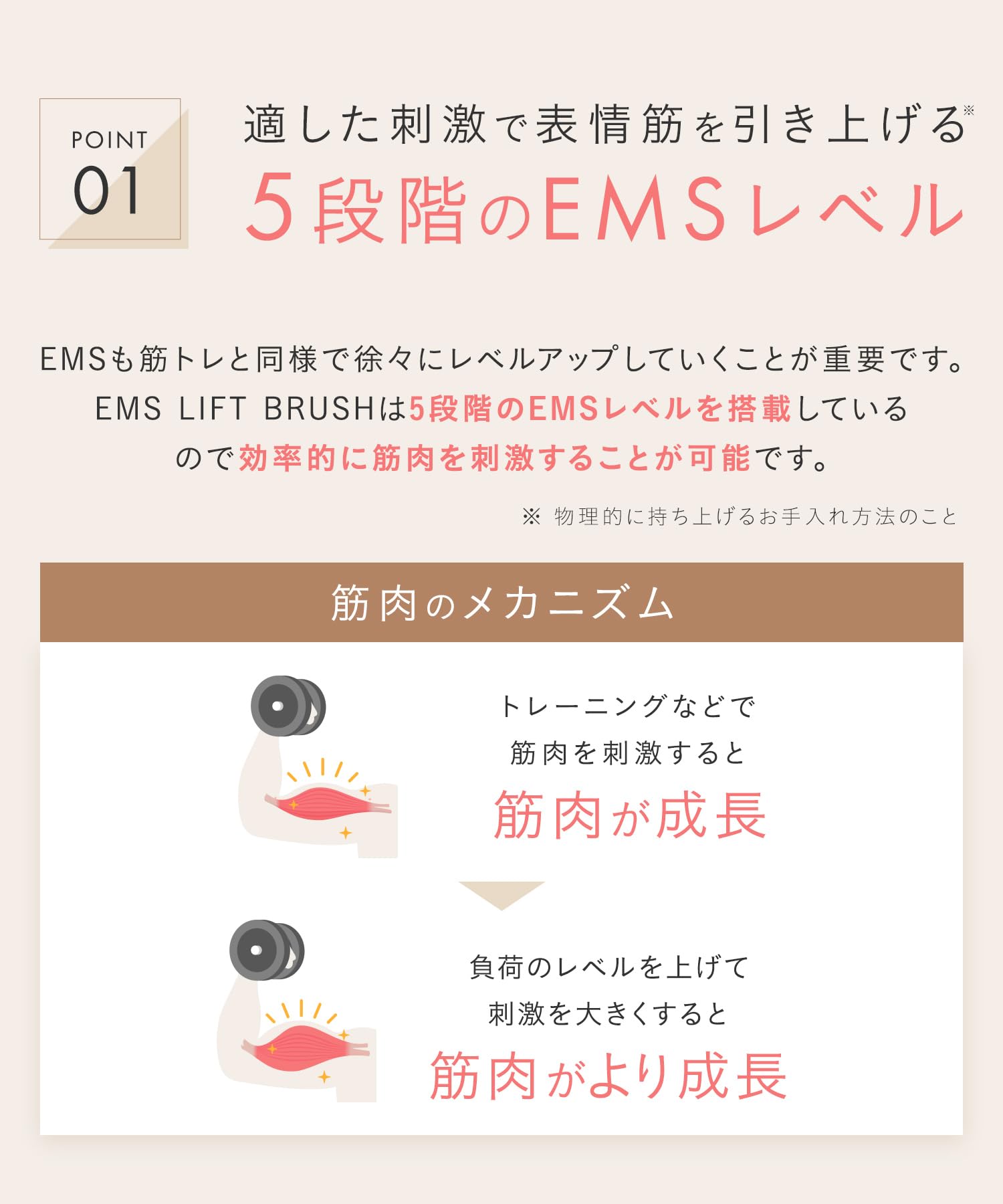 살로니아 EMS 리프트 브러시 앤 스티머 세트 【스탠다드 모델】스티머 세트 이미지 8