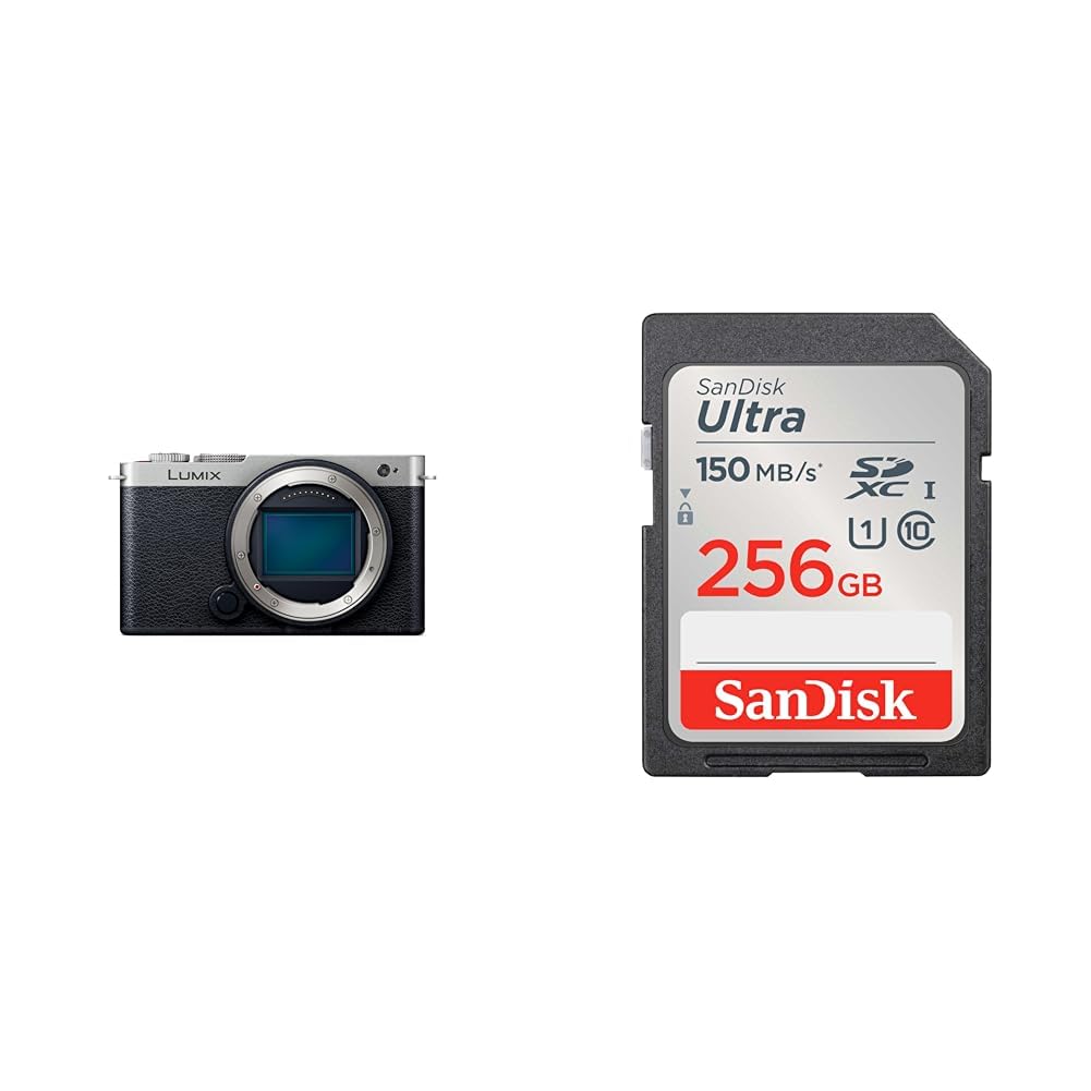 파나소닉 루믹스 다크실버 DC-S9-S 풀프레임 미러리스 카메라 바디 256GB
