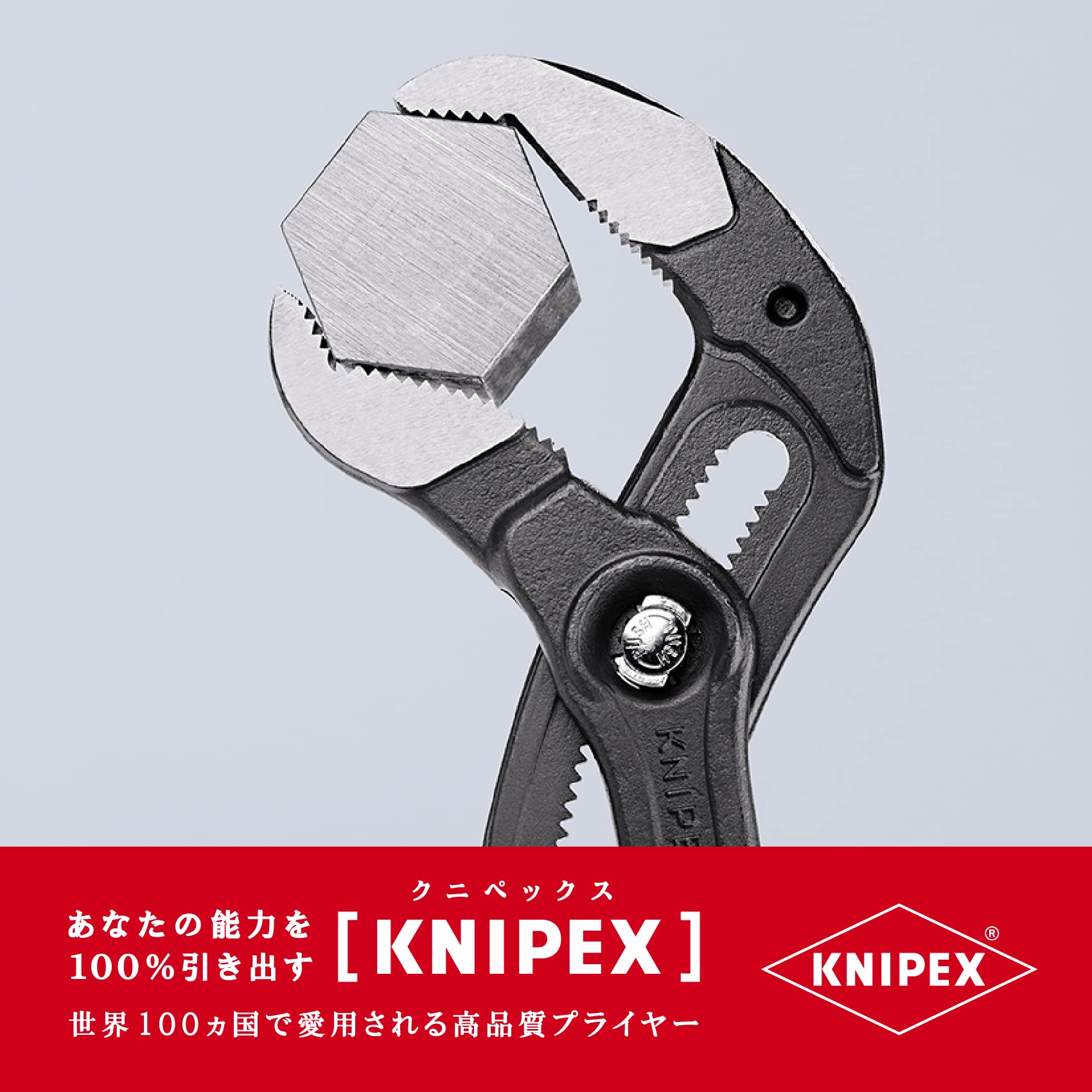 크니펙스 코브라 그레이 400 mm Atramentized。 셀프 서비스 카드 이미지 5