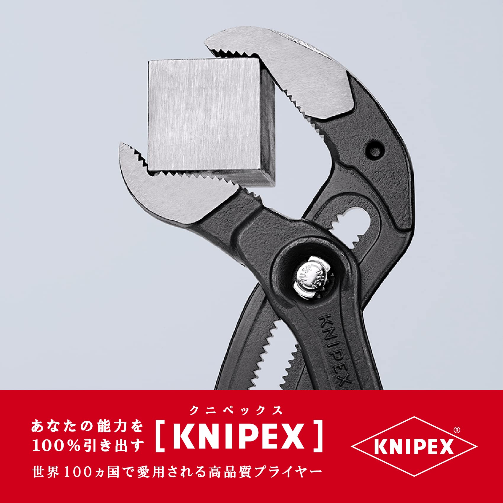 크니펙스 코브라 그레이 400 mm Atramentized。 셀프 서비스 카드 이미지 6