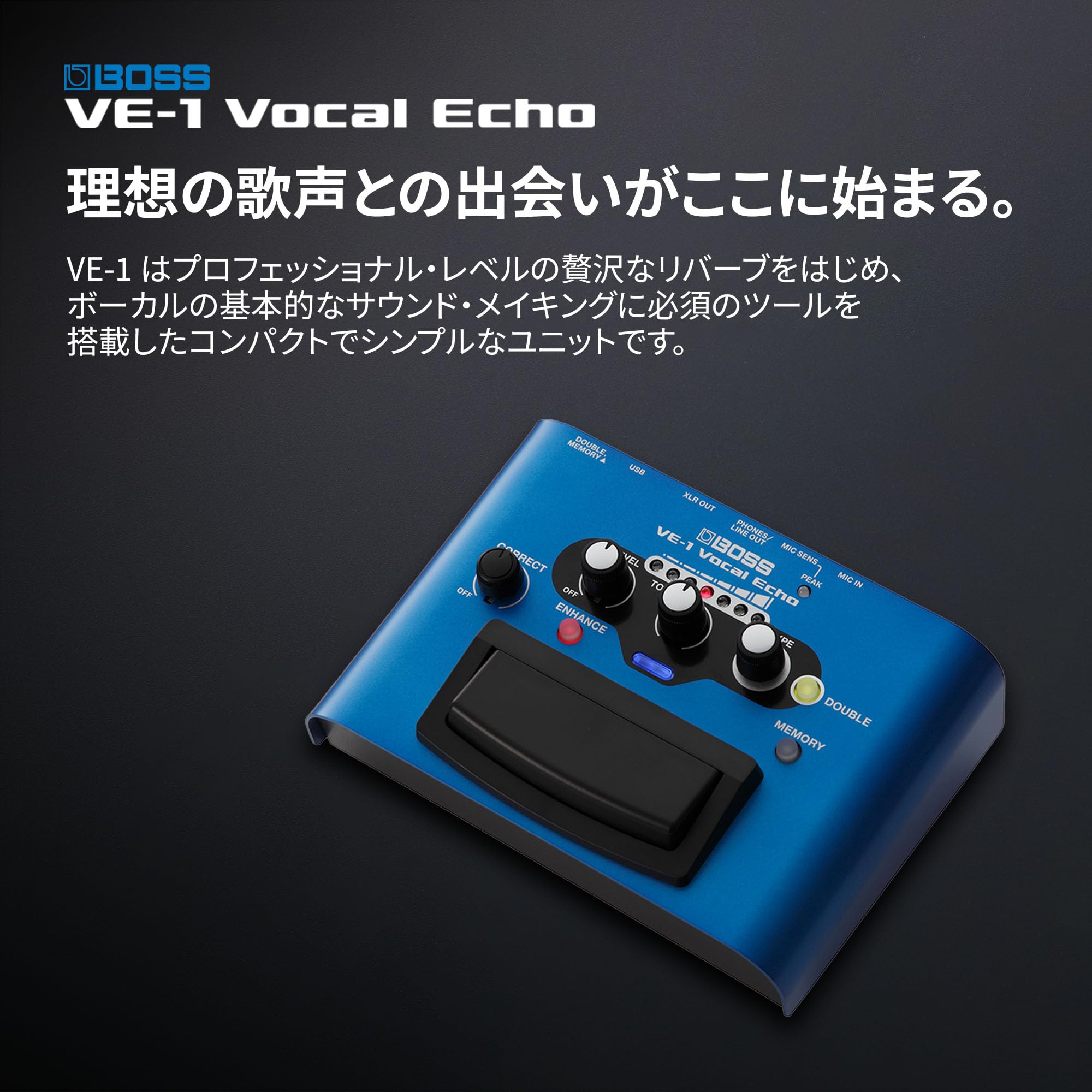 보스 VE-1 보컬 에코 이펙터 이미지 2