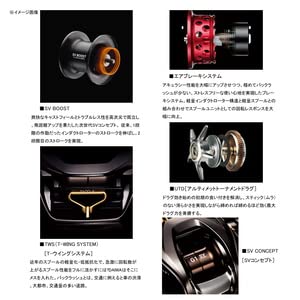 다이와 스티즈 리미티드 SV TW 1000HL 베이트릴 이미지 4