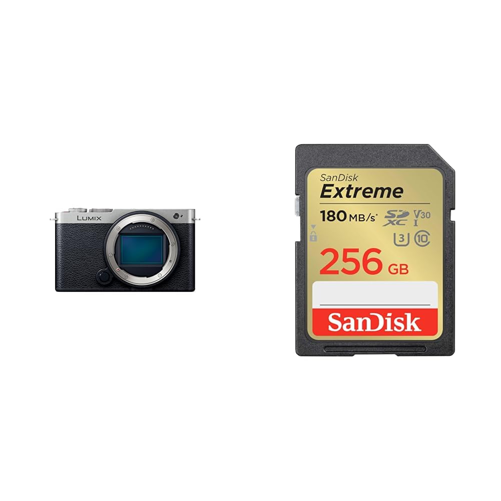 파나소닉 루믹스 다크실버 DC-S9-S 256GB 풀프레임 미러리스 카메라