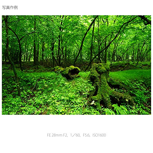 소니 알파  FE 28mm F2 SEL28F20 풀프레임 광각 단렌즈 E마운트 이미지 7