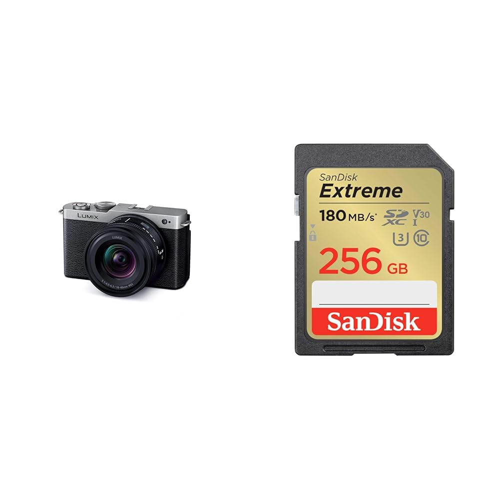 파나소닉 루믹스 다크실버 DC-S9N-S 256GB 미러리스 카메라
