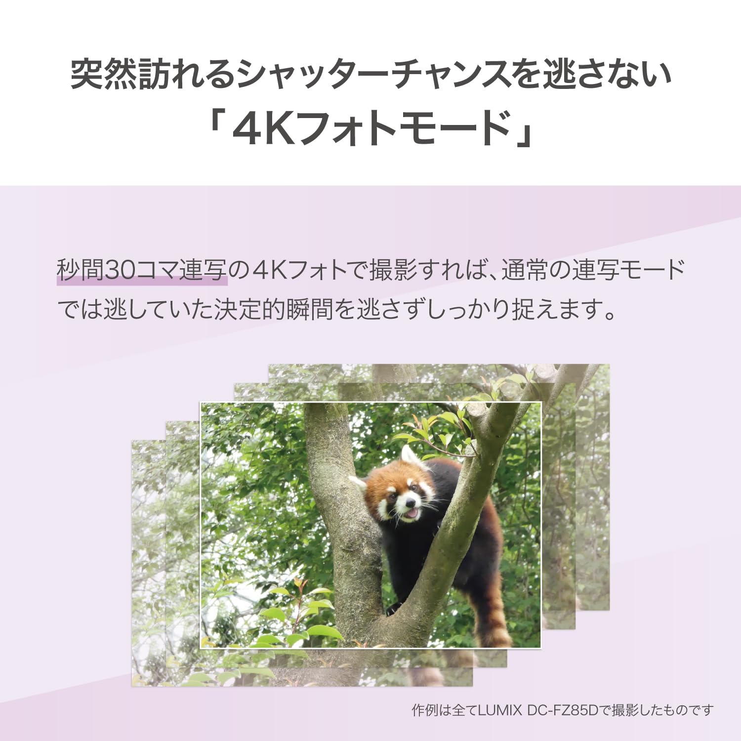 파나소닉 루믹스 블랙 DC-FZ85D-K 디지털 카메라 광학 60배 줌 카메라 본체만 단품 이미지 7