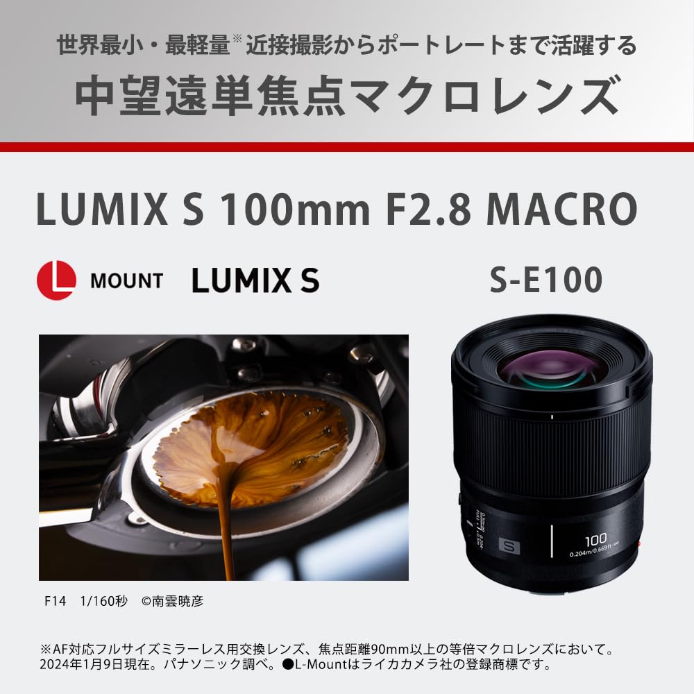 파나소닉 루믹스 S 100mm F2.8 매크로 단렌즈 S-E100 이미지 2
