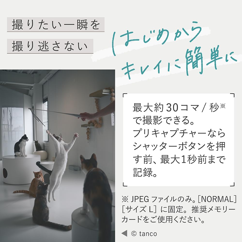 니콘 Z50II 바디 단품 입문자 세트 블랙 클리닝 키트 포함 신모델 바디 단품 이미지 3