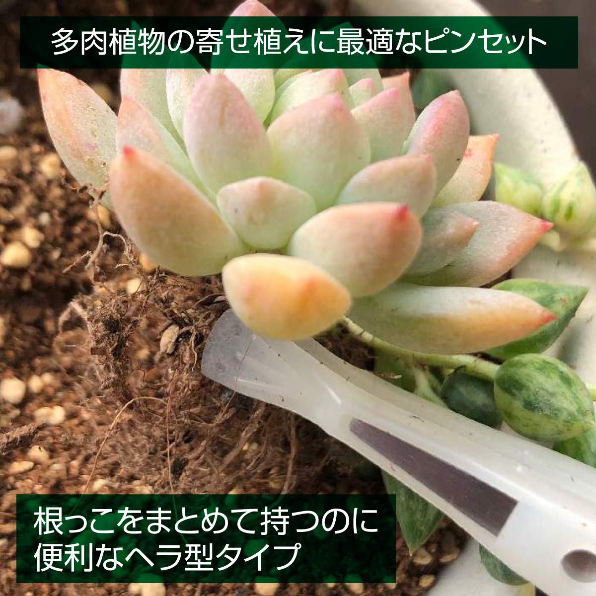 호잔 핀셋 P-645-N 비점착 팁 헤라형 핀셋 단품 끝 폭 헤라형 6.0mm 이미지 4