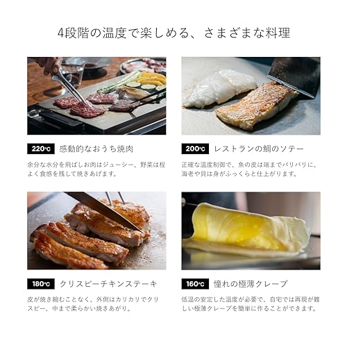 발뮤다 더 플레이트 프로 핫플레이트 공식 레시피 리플릿 포함 가전대상 금상 수상 The Plate Pro K10A-BK 이미지 5