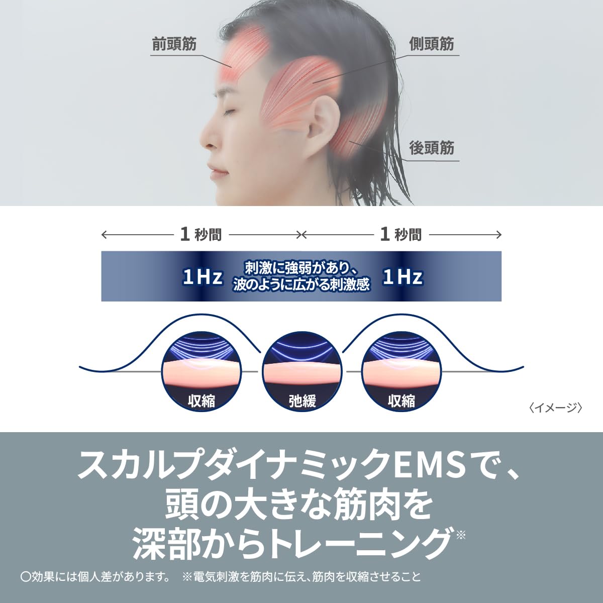 파나소닉 바이탈리프트 EH-SP60-H 그레이지 EMS 전기 브러시 이미지 5