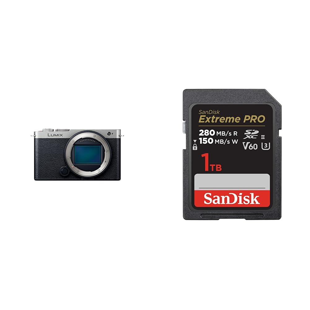 파나소닉 루믹스 DC-S9-S 다크실버 바디 1TB 이미지 1