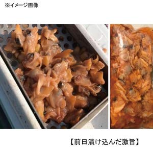 다이와 아미노솔트 300g 낚시 미끼 첨가제 2개입 이미지 4