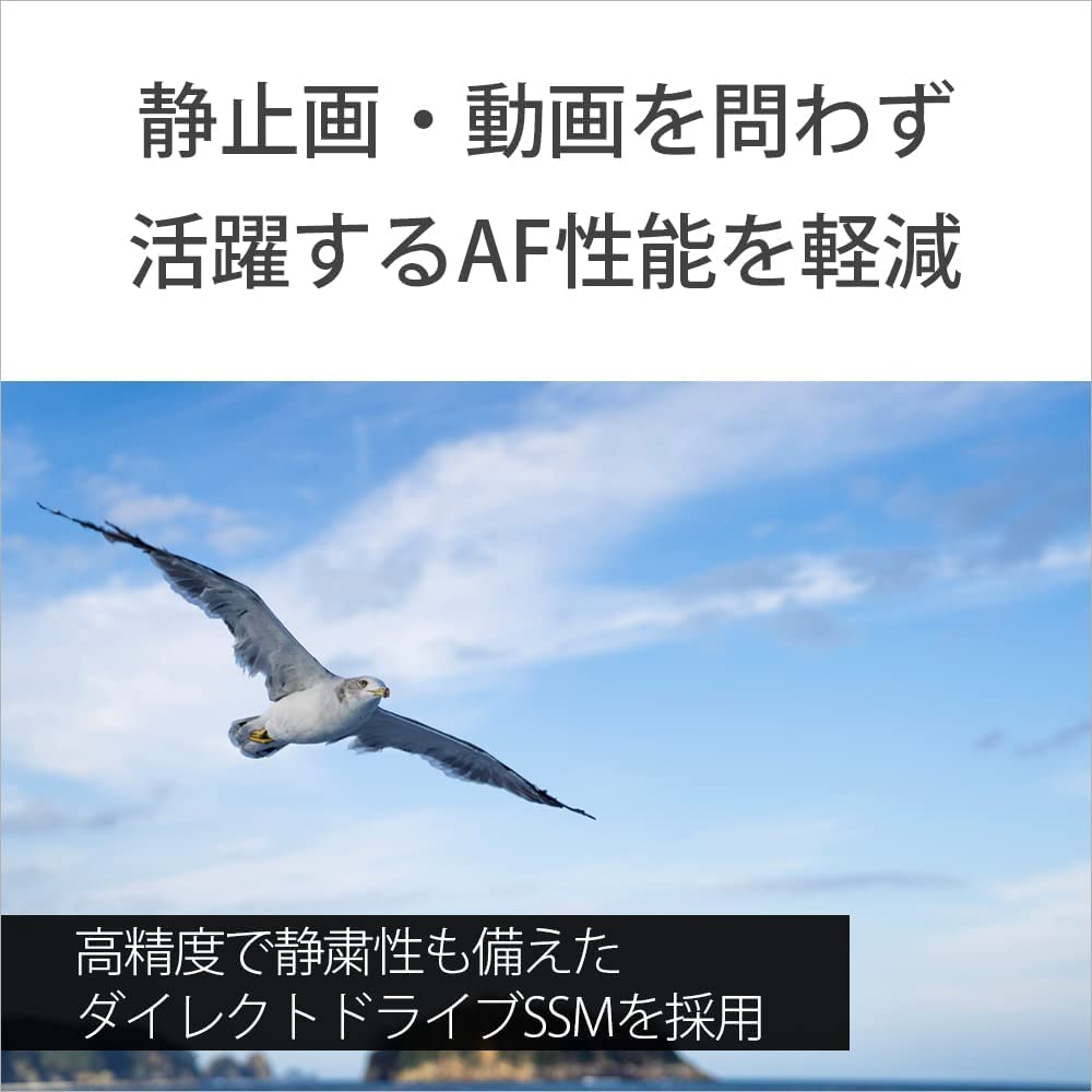 소니 G Master FE 24-70mm F2.8 GM 표준 줌렌즈 SEL2470GM 이미지 9