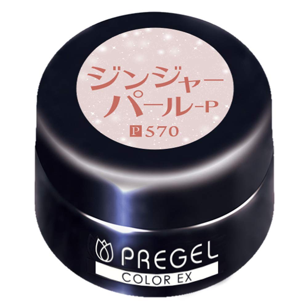 프리젤 컬러EX 진저펄 PG-CE570 3g 젤네일 브라운