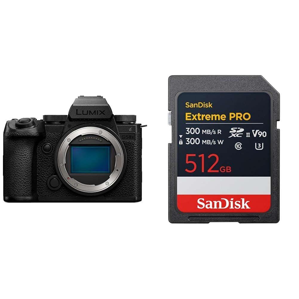 파나소닉 루믹스 DC-S5M2X 블랙 512GB 미러리스 카메라 V90