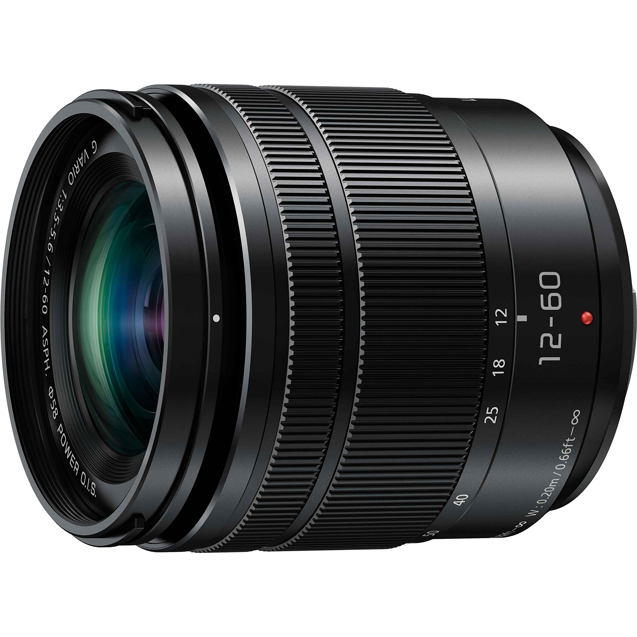 파나소닉 루믹스 G VARIO 12-60mm F3.5-5.6 ASPH POWER O.I.S 이미지 2