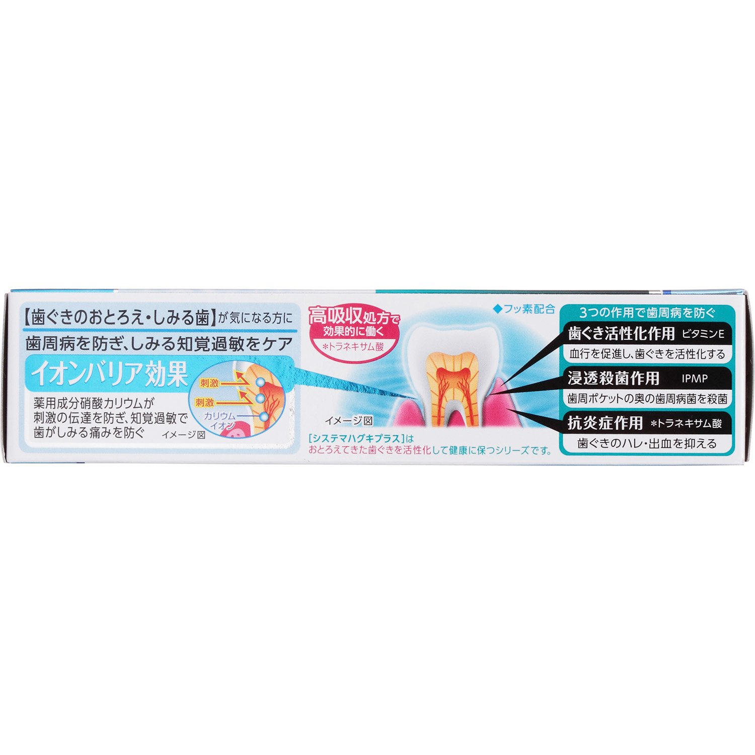 라이온 시스테마 하구키플러스 S 치약 95g 잇몸케어 이미지 4