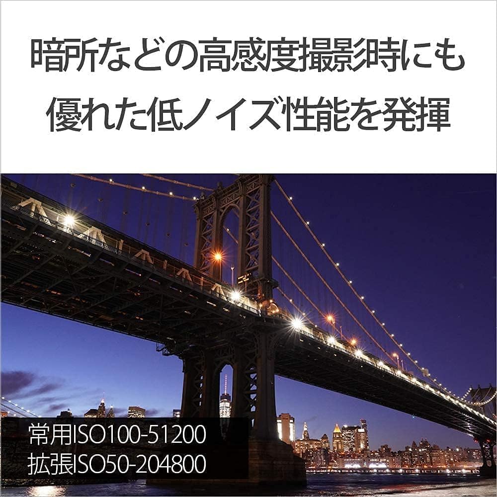 소니 알파 7M3 미러리스 카메라 배터리 충전기 세트 이미지 12