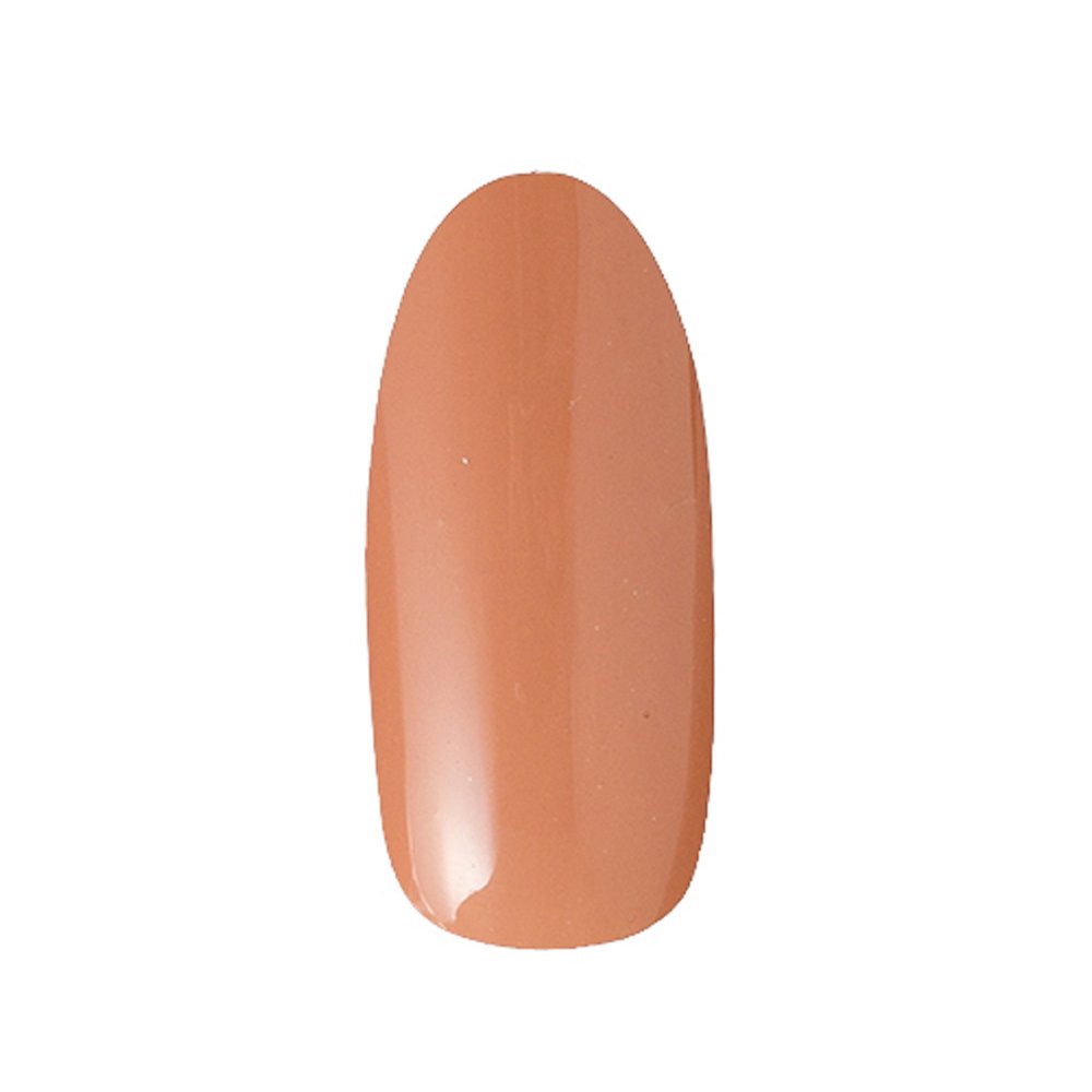 프리젤 컬러EX 밀크티 R255 3g 젤네일 이미지 2