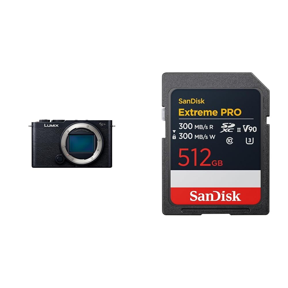 파나소닉 루믹스 DC-S9-K 제트블랙 바디 512GB