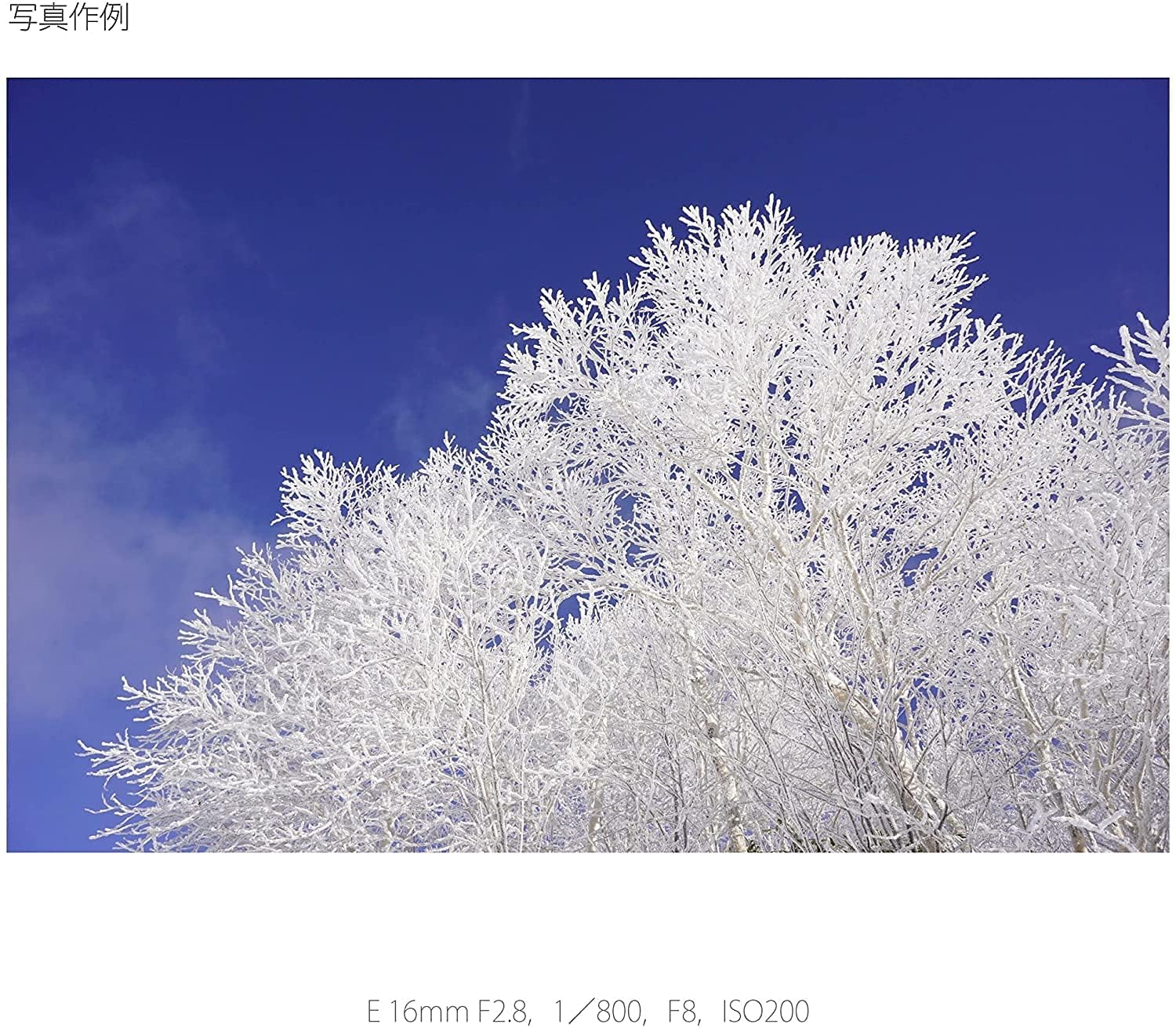 소니 알파  SEL16F28 16mm F2.8 단렌즈 이미지 8