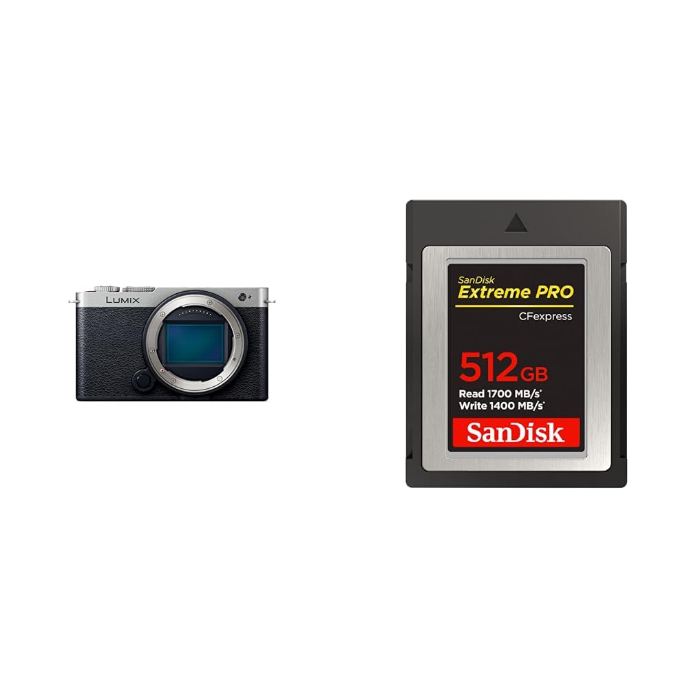 파나소닉 루믹스 다크실버 DC-S9-S 풀프레임 미러리스 카메라 바디 512GB