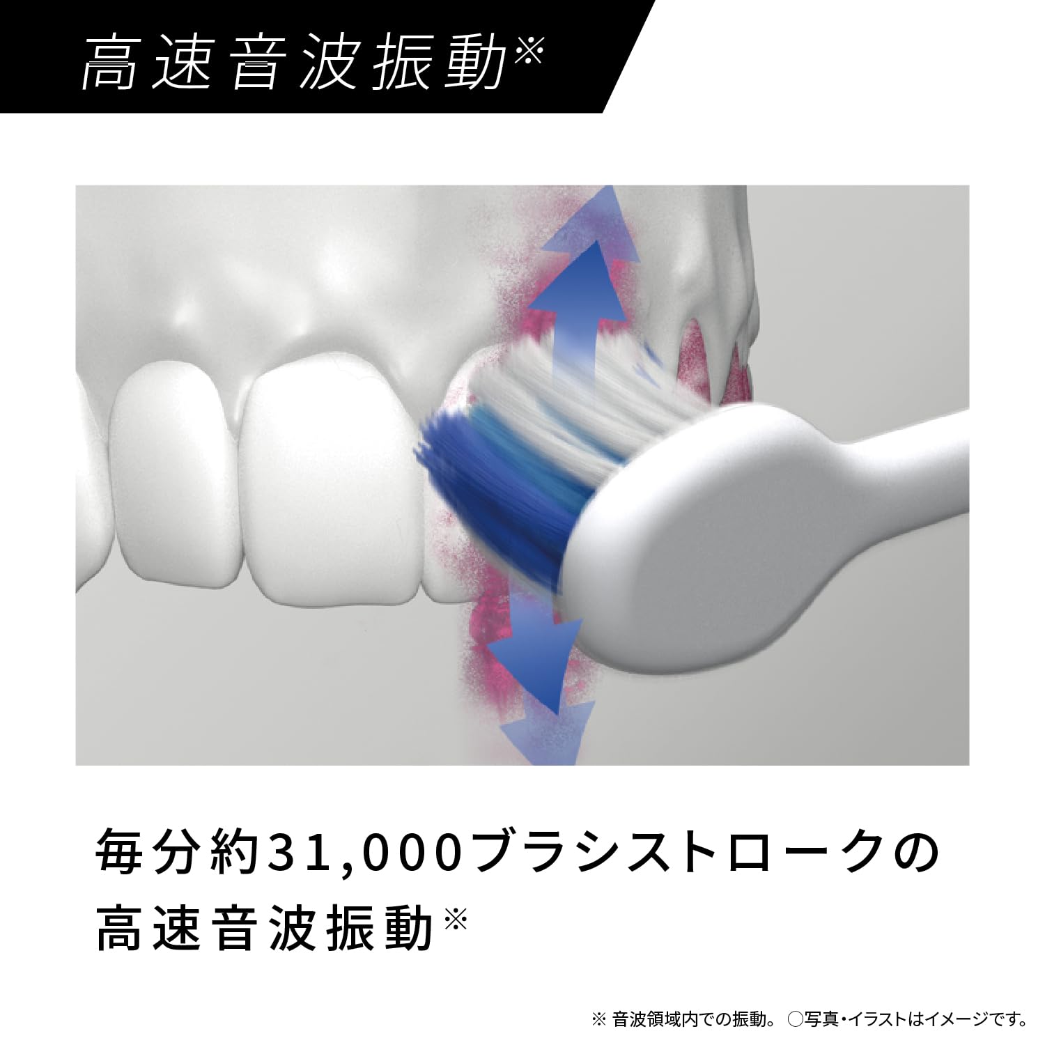 파나소닉 돌츠 화이트 EW-DM74-W 음파 전동칫솔 이미지 4