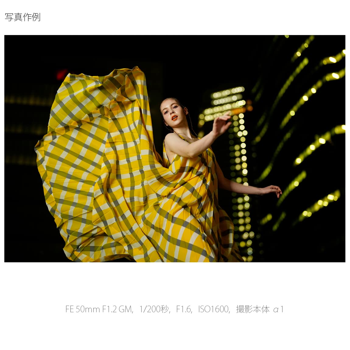 소니 HVL-F60RM2 전파식 무선 외장 플래시 이미지 16