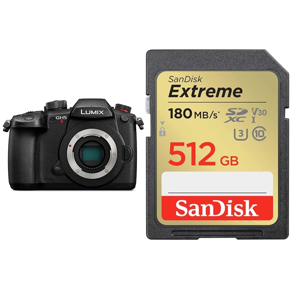 파나소닉 루믹스 DC-GH5M2 블랙 512GB 미러리스 카메라 Class10