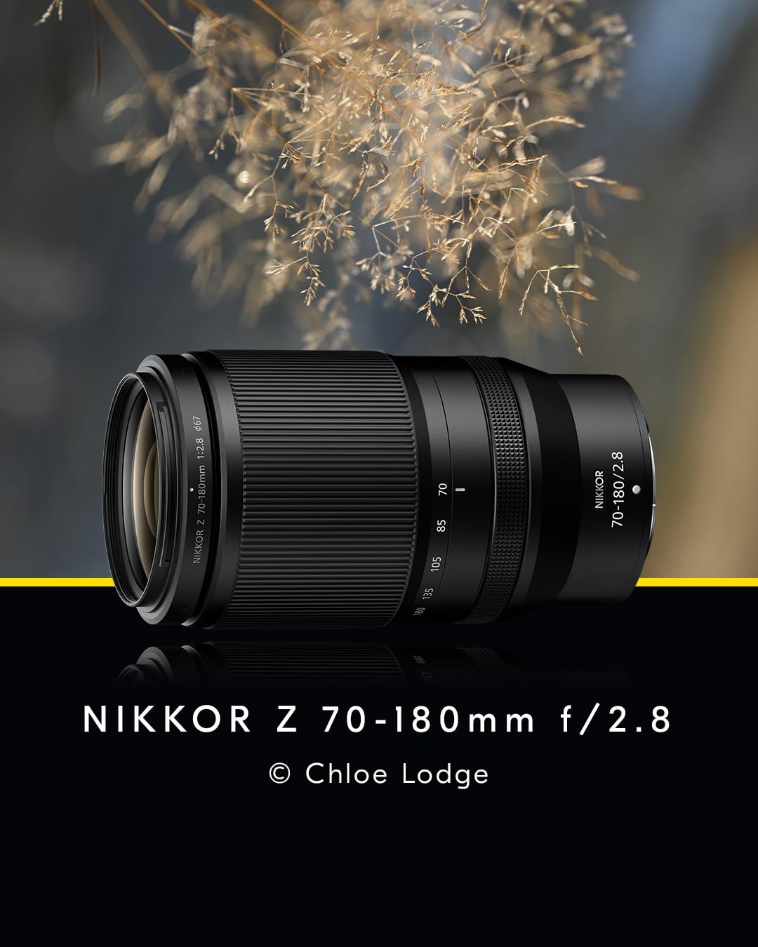 니콘 NIKKOR Z 70-180mm f/2.8 망원 줌렌즈 렌즈만 이미지 2