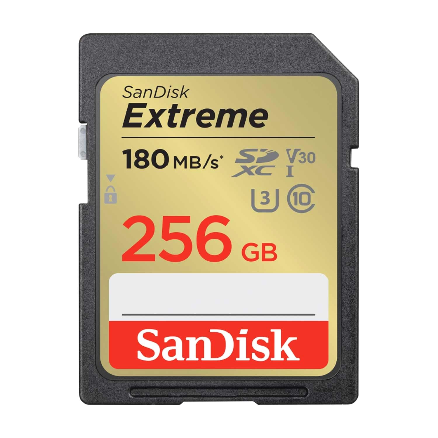 파나소닉 루믹스 DC-GH5M2 블랙 256GB 미러리스 카메라 Class10 이미지 3