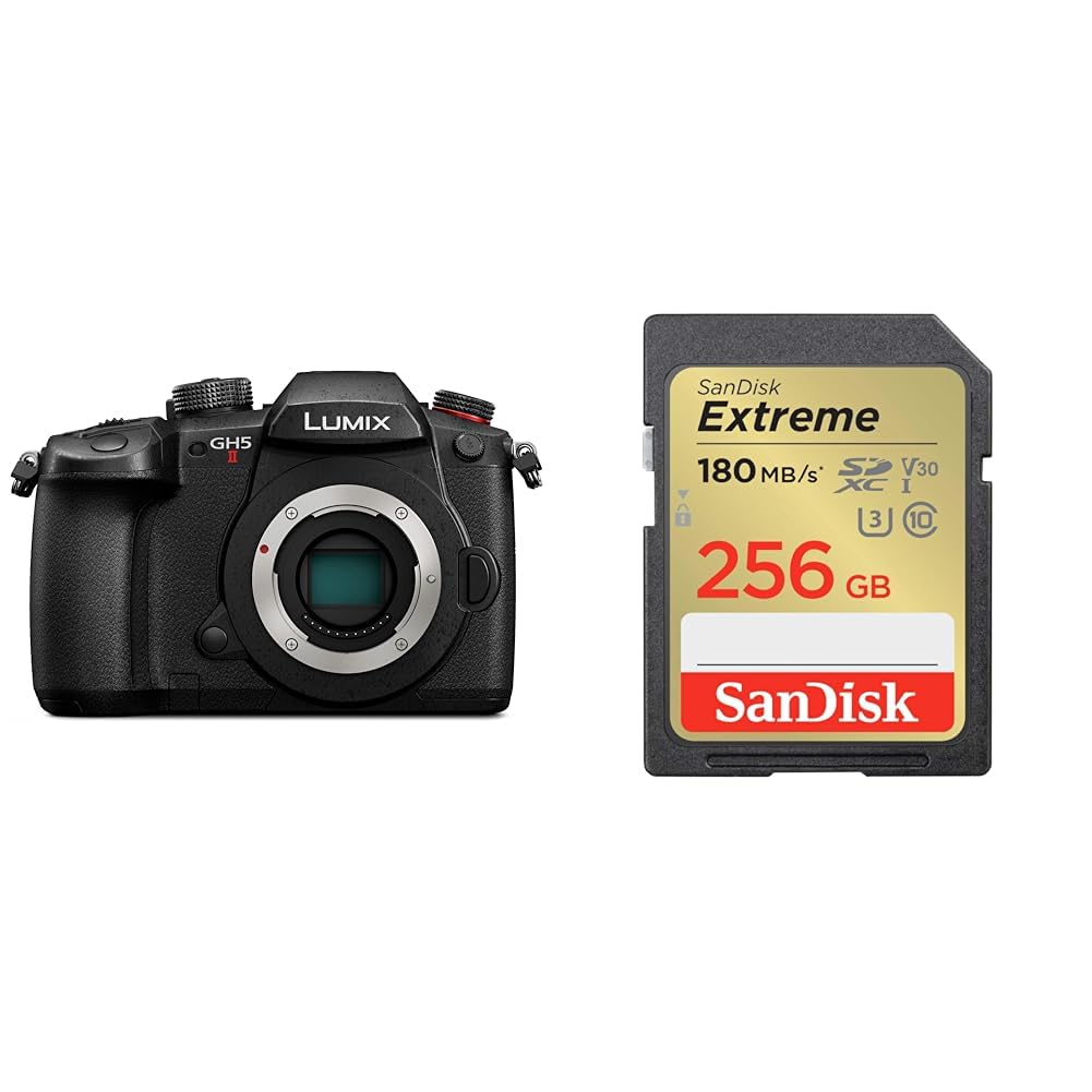 파나소닉 루믹스 DC-GH5M2 블랙 256GB 미러리스 카메라 Class10