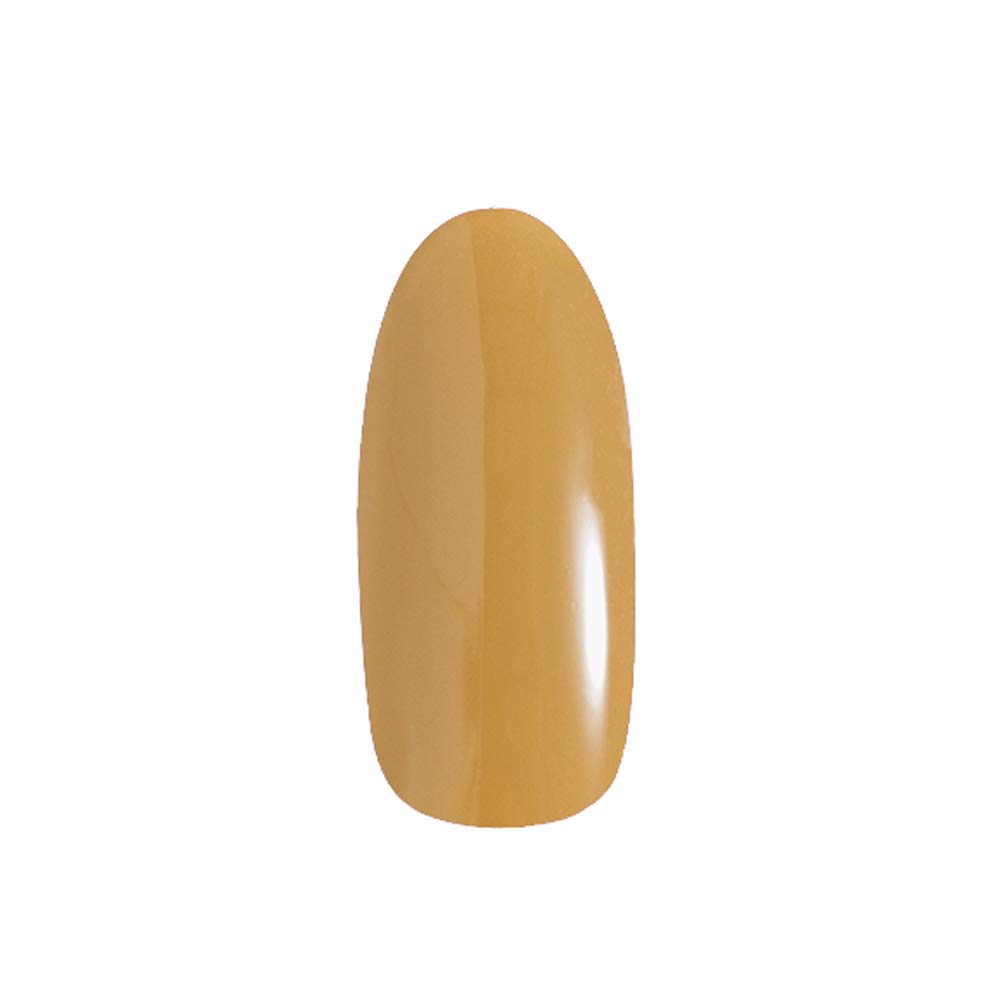 프리젤 컬러EX 호박타르트 PG-CE909 3g 젤네일 이미지 2