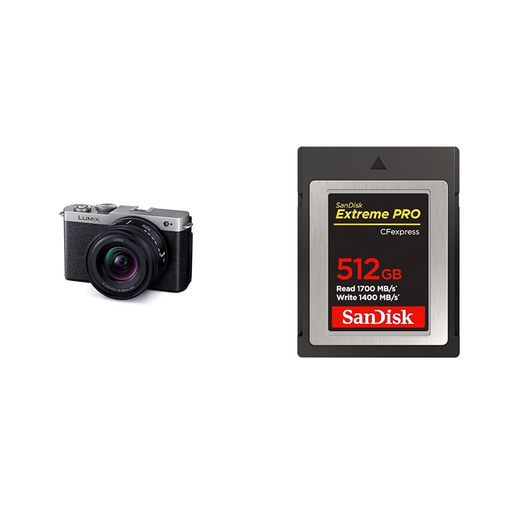 파나소닉 루믹스 다크실버 DC-S9N-S 미러리스 카메라 렌즈킷 512GB