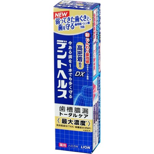 라이온 덴트헬스 DX 치약 28g