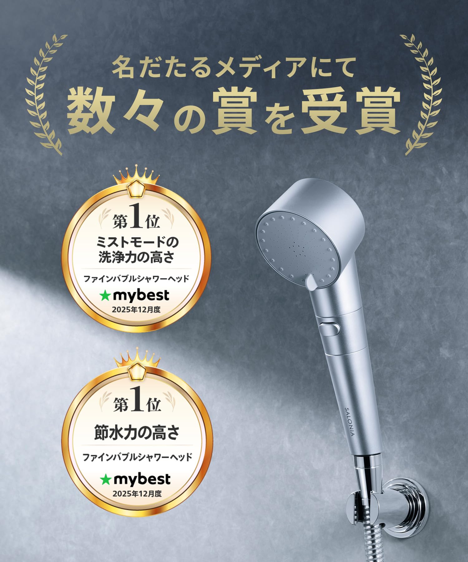 살로니아 파인버블 클리어 샤워헤드 실버 염소제거 카트리지 포함 세트(실버) 이미지 3