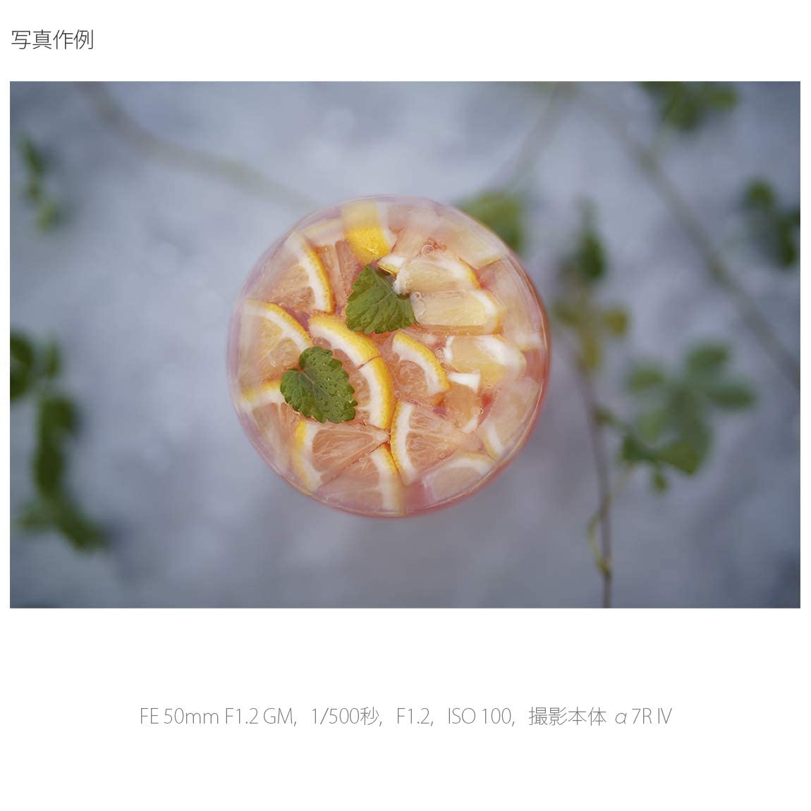소니 알파  7C II 블랙 ILCE-7CM2 SEL50F12GM 렌즈 키트 이미지 9