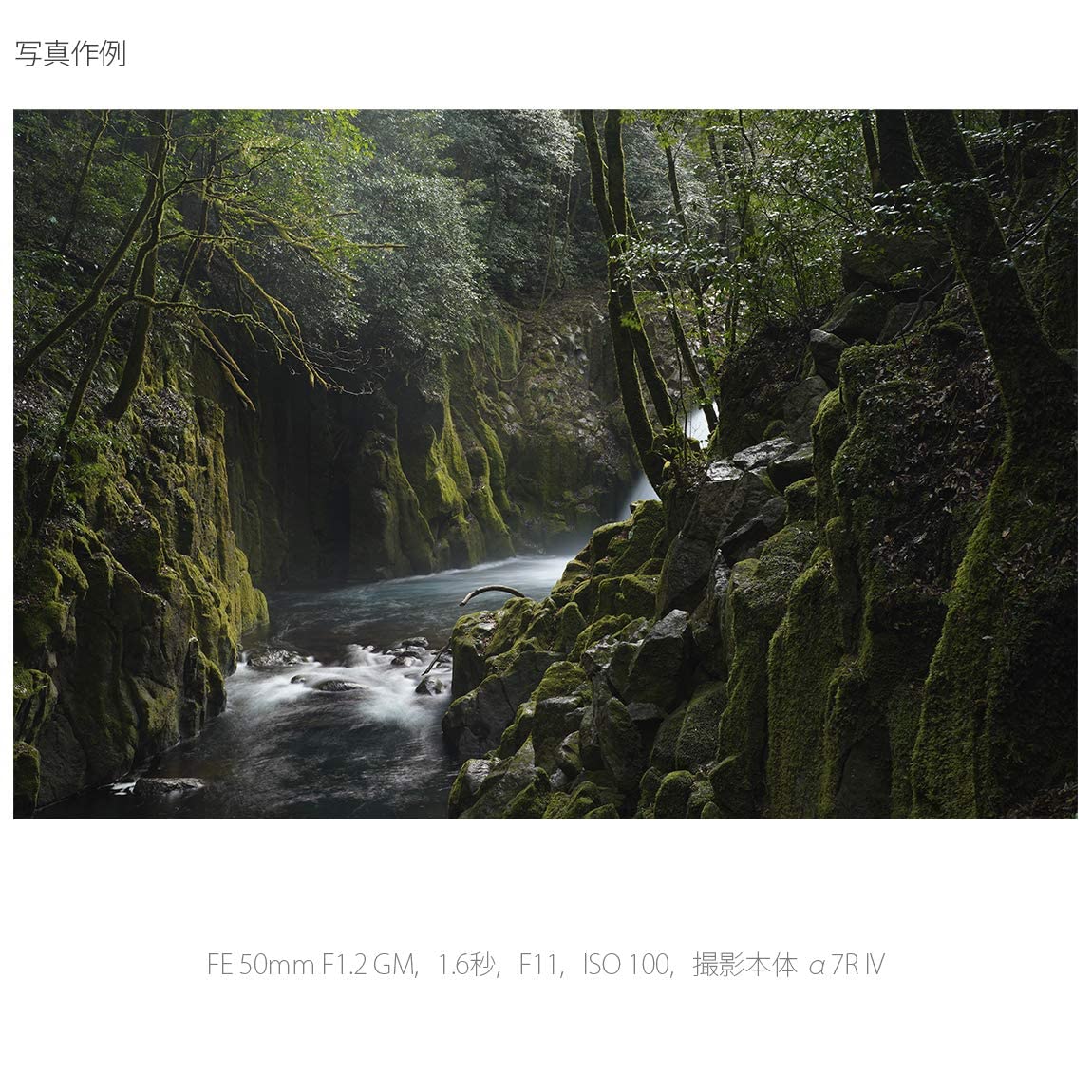 소니 알파  7C II 블랙 ILCE-7CM2 SEL50F12GM 렌즈 키트 이미지 11